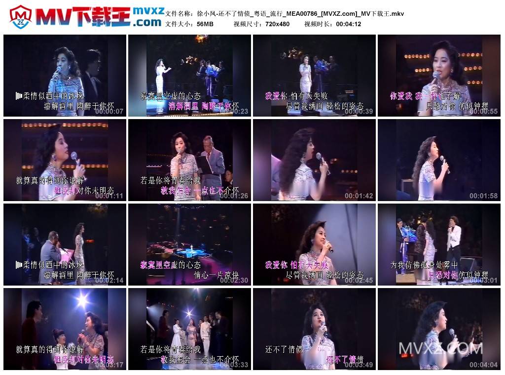 徐小凤-还不了情债_粤语_流行_MEA00786